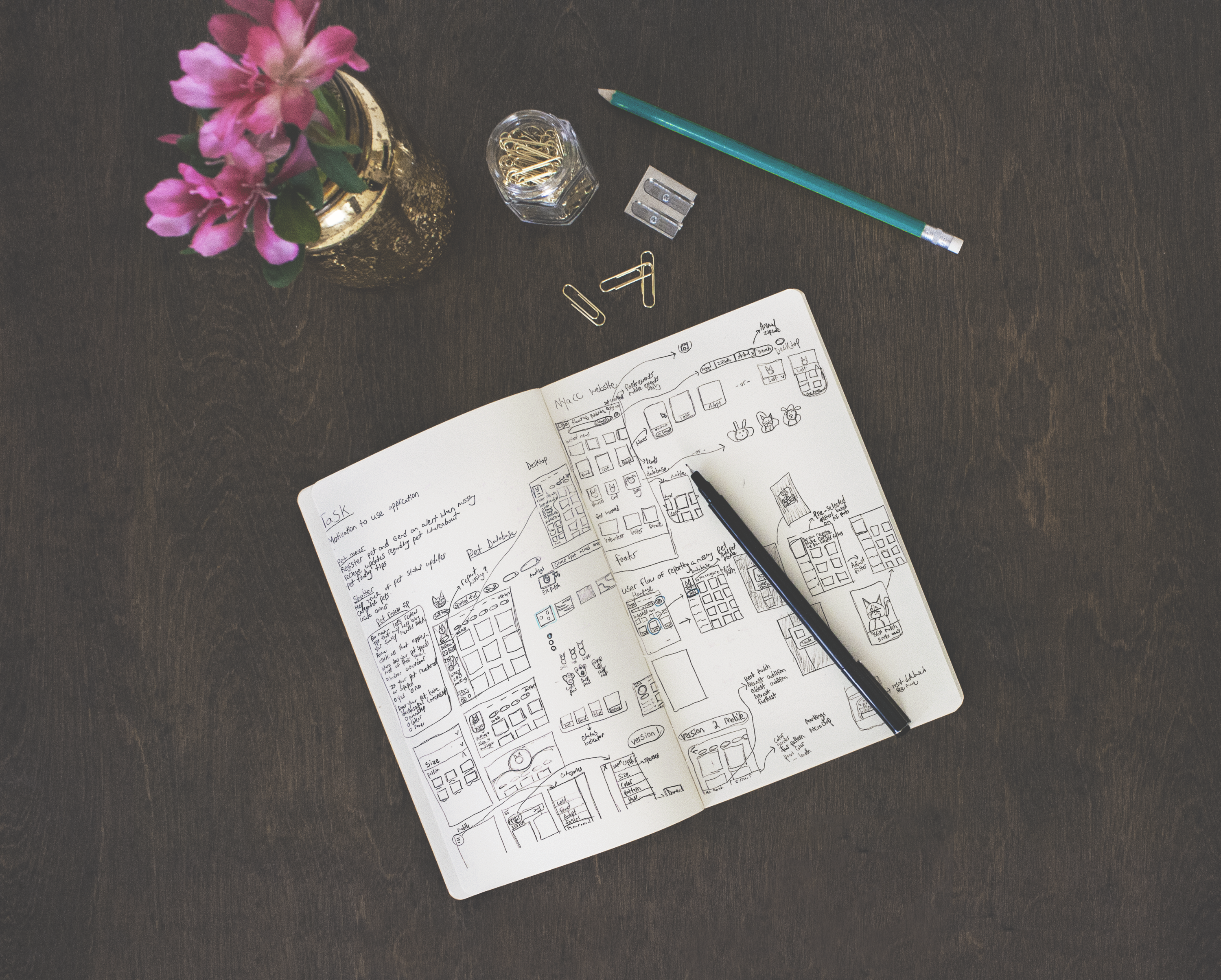 Nycacc-lo-fi-sketch