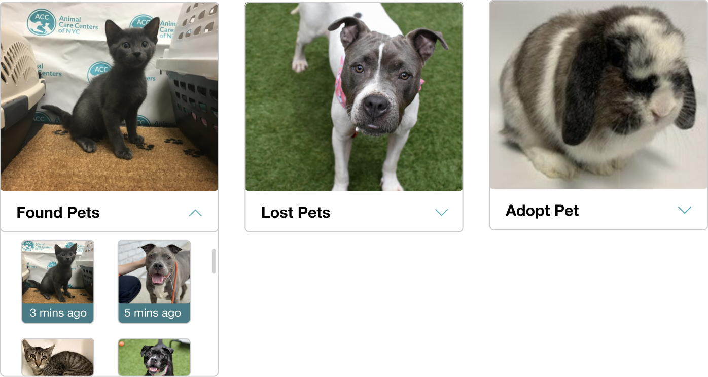 pet-component